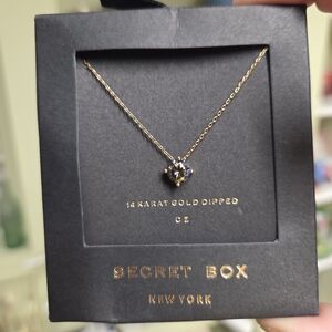 🆕️14k Gold Dipped Necklace With Purple CZ Crystal